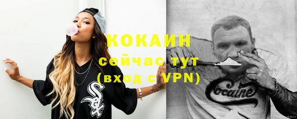 индика Абаза
