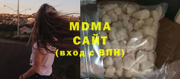 индика Абаза