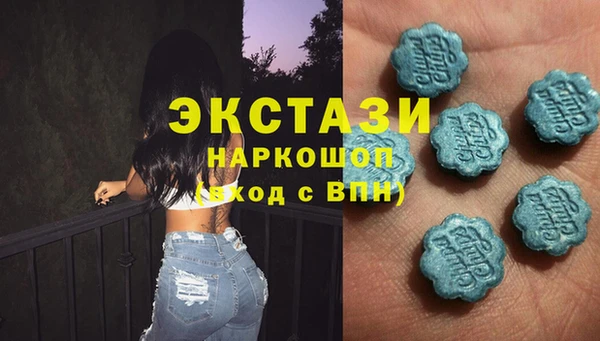 индика Абаза