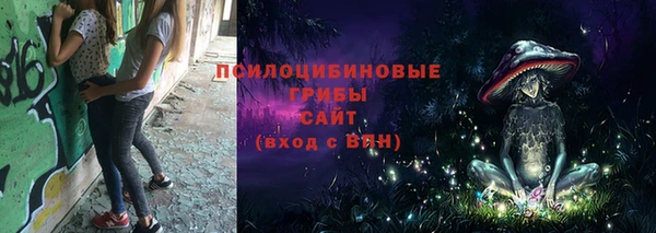 индика Абаза