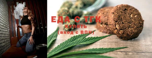 индика Абаза